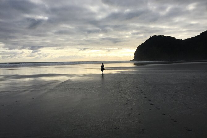 Auckland's Wild West Coast & Black Sand Beaches Tour inc Lunch - Price and Value Check: Is $108.60 Worth It?
