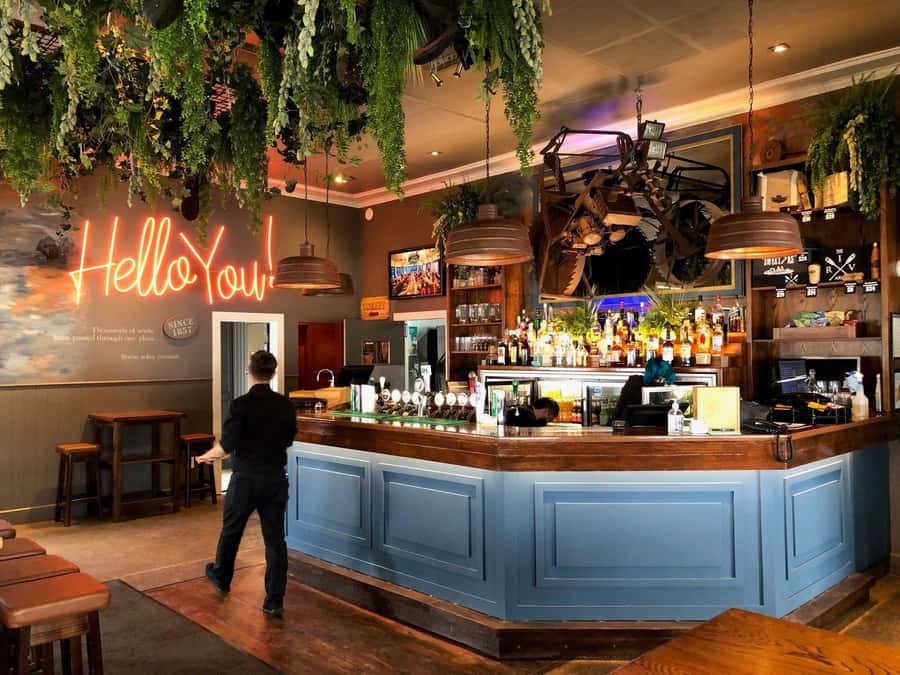 Auckland: Scenic Boat Cruise to the Riverhead Tavern - Under the Harbour Bridge: the “wow” moment is built in
