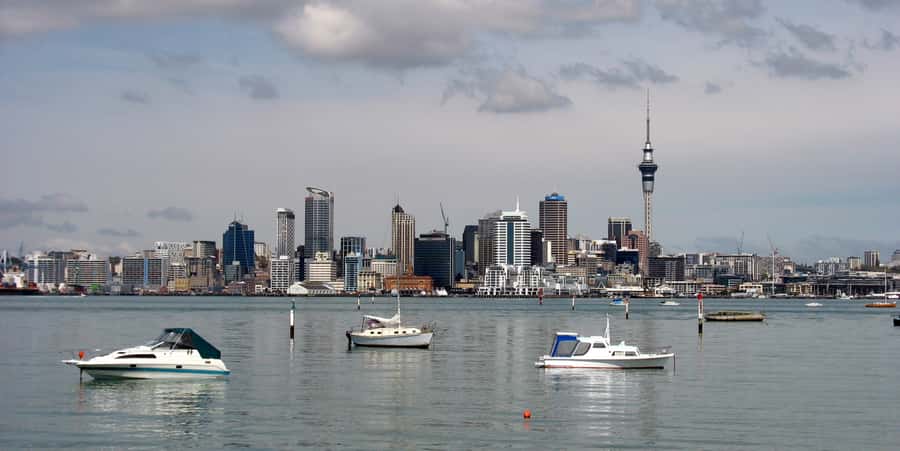 Auckland Scenic Half-Day City Sightseeing Tour - Key highlights that make this half-day feel worth it