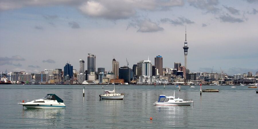 Auckland Scenic Half-Day City Sightseeing Tour - Price and timing: is $44 for 4 hours actually good value?