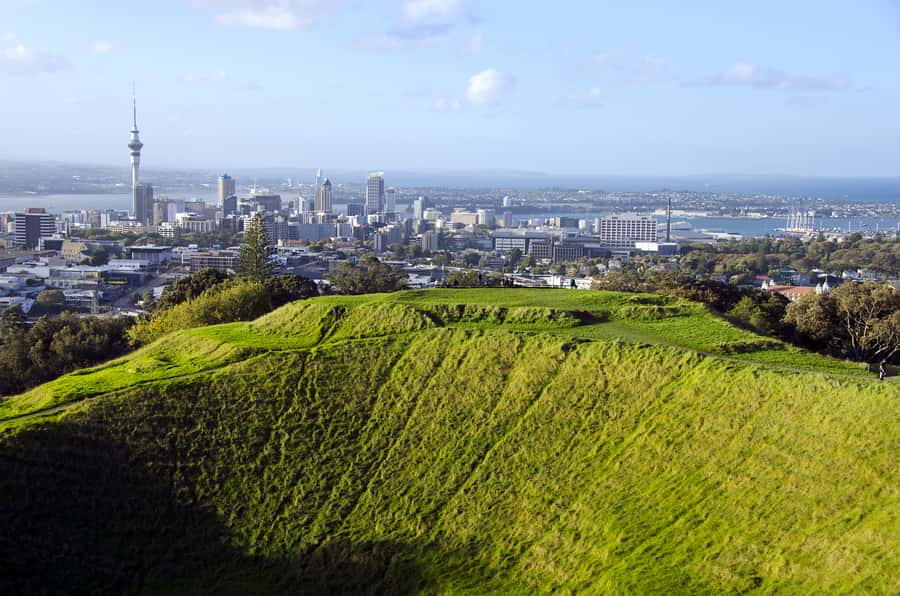 Auckland Scenic Half-Day City Sightseeing Tour - Why This 4-Hour Auckland Tour Works So Well
