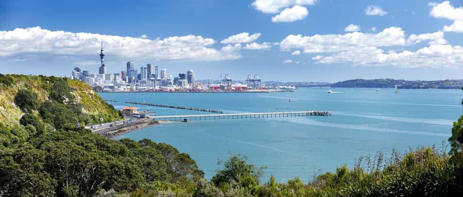 Auckland Scenic Half-Day City Sightseeing Tour - Ponsonby and K Road: city neighborhoods you can actually picture later