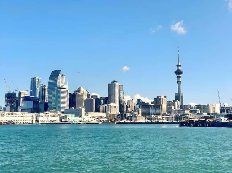 Auckland: Scenic Harbour Cruise with Live Commentary - Drinks on board: small upgrade, no pressure