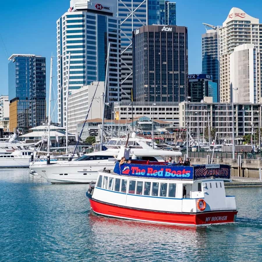 Auckland: Scenic Harbour Cruise with Live Commentary - Should you book the Auckland harbour cruise with live commentary?
