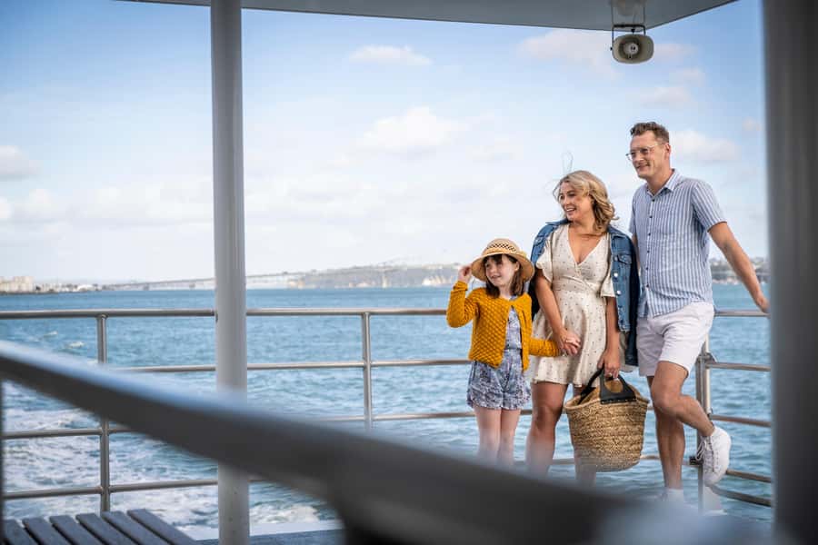 Auckland: Scenic Harbour Sightseeing Cruise - Downtown Ferry Terminal: Where the Cruise Starts (and Why It Matters)