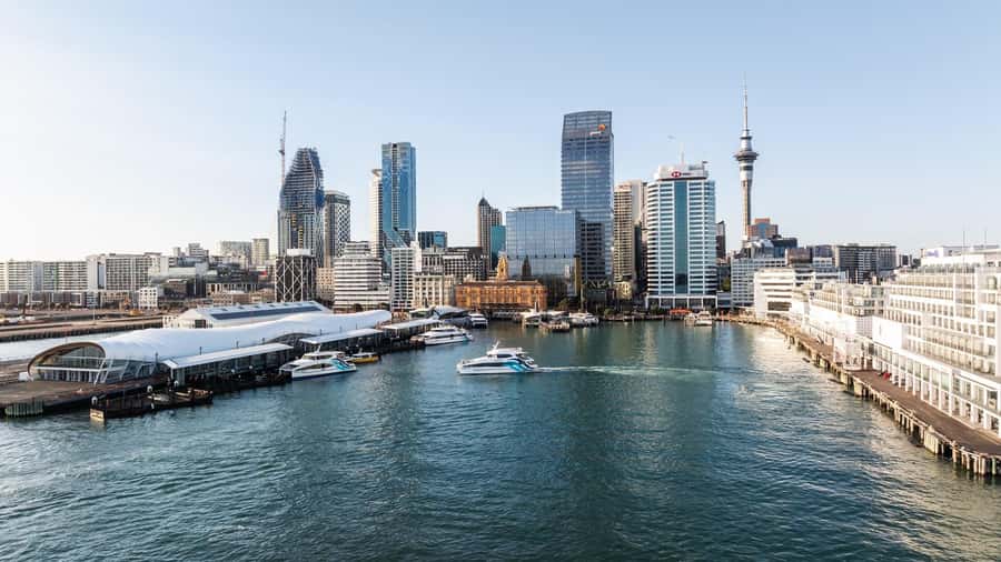 Auckland: Scenic Harbour Sightseeing Cruise - Waitematā Harbour + Auckland Skyline: The Fastest Way to Get Oriented