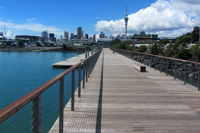Auckland Scenic Tour : Must-See Sights in Half Day - Key reasons this half-day Auckland run works