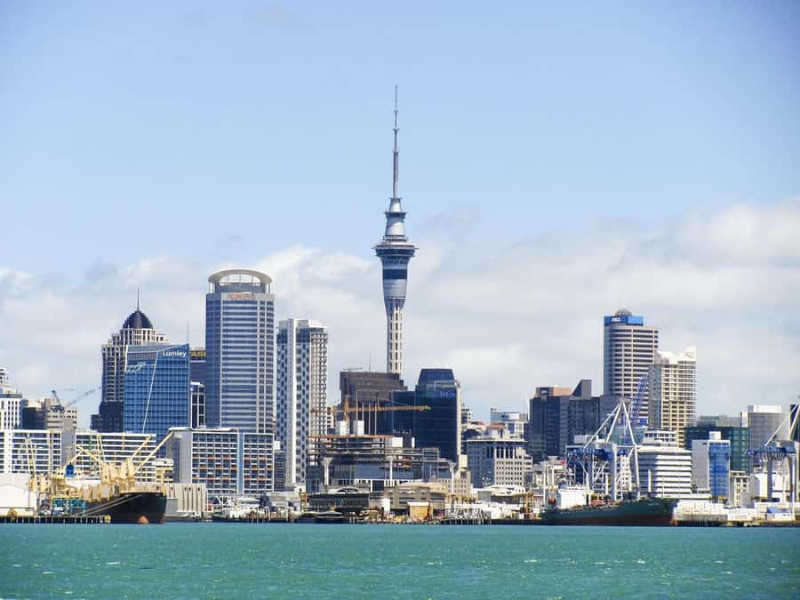 Auckland: Scenic Wine and Cheese Harbour Cruise - Key Highlights to Look For
