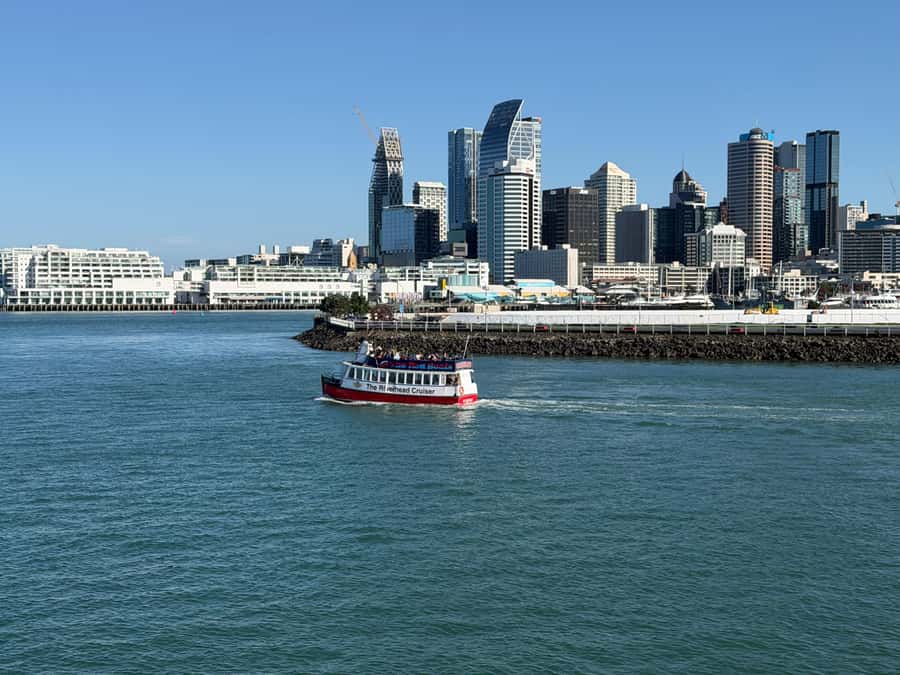 Auckland: Scenic Wine and Cheese Harbour Cruise - A Relaxing Auckland Harbour Cruise That Feels Like a Proper Outing