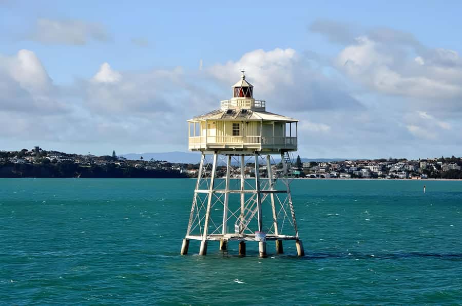 Auckland: Scenic Wine and Cheese Harbour Cruise - Crew Energy and On-Boat Comfort: The Human Side