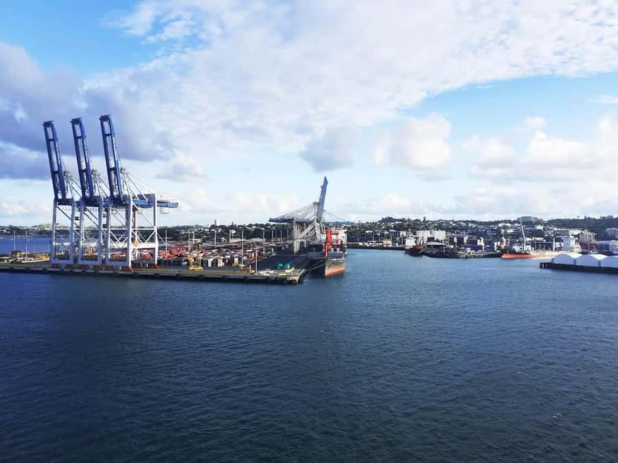 Auckland: Scenic Wine and Cheese Harbour Cruise - Quick Practical Tips So You Enjoy the Whole 90 Minutes