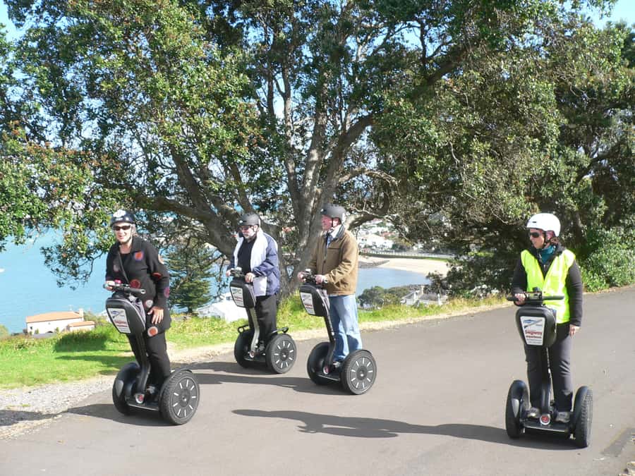 Auckland: Segway to North Head Volcano Summit - Timing, Fitness, and Safety: What to Know Before You Book