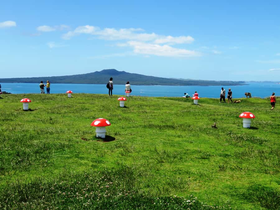 Auckland: Segway Tour to Mount Victoria - Start at Devonport Ferry Terminal: fast setup, clear instruction