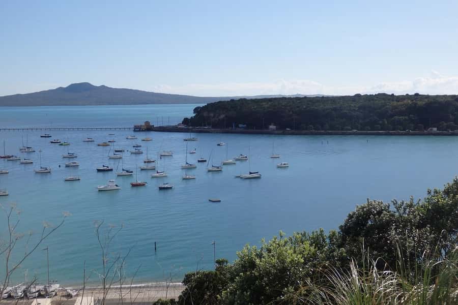 Auckland: Ship to Shore Full-Day Excursion - How the Day Flows: A Smart Auckland “Loop” Instead of Random Stops