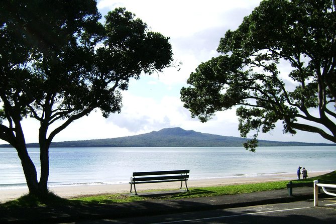 Auckland Shore Excursion: Half-Day Guided City Tour - Narrow Neck Beach in Devonport: A Short Stroll With Big Payoff