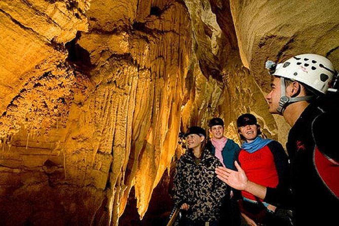 Auckland Sights Exclusive 4 Hour Luxury Day Tour - Included Comfort That Actually Helps