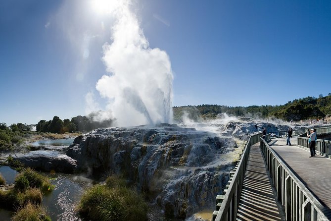 Auckland Sights Exclusive 8 Hour Luxury Day Tour - Muriwai Beach and the gannet colony viewpoint