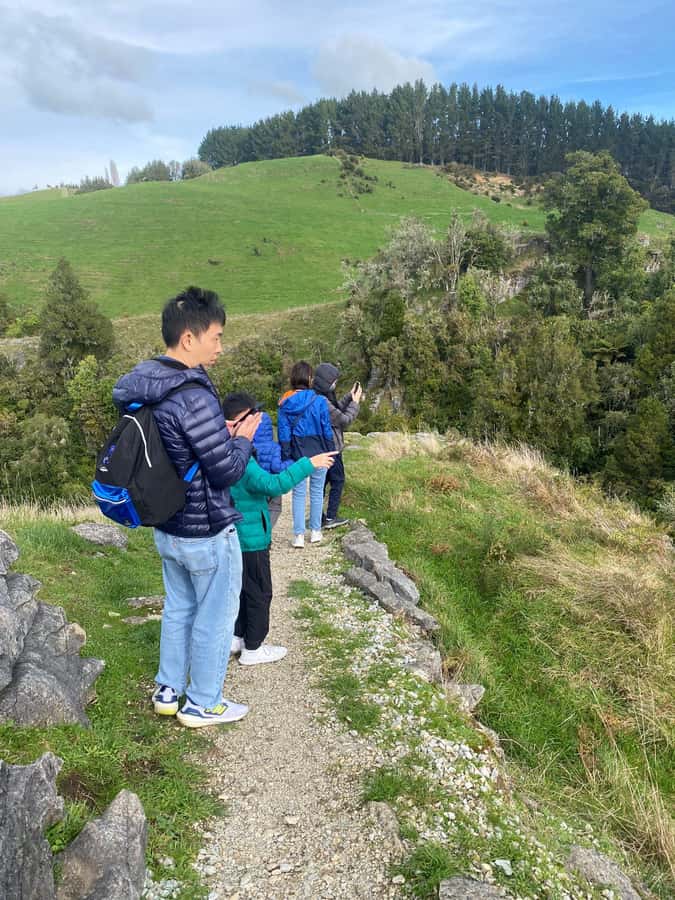 Auckland: Spellbound Glowworm Caves Explorer Tour - Who should book, and who should skip it