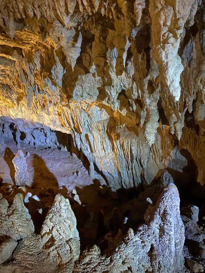 Auckland: Spellbound Glowworm Caves Explorer Tour - Auckland to Waitomo: the long drive that sets the mood