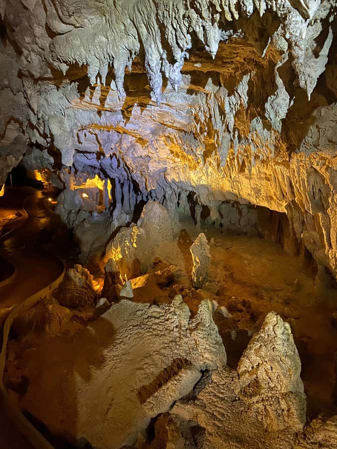 Auckland: Spellbound Glowworm Caves Explorer Tour - The serene boat ride: a different pace than the cave walk