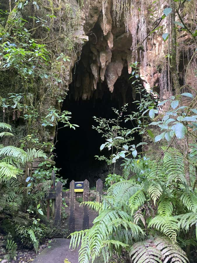 Auckland: Spellbound Glowworm Caves Explorer Tour - Otorohanga break for lunch: keep it simple, build your energy