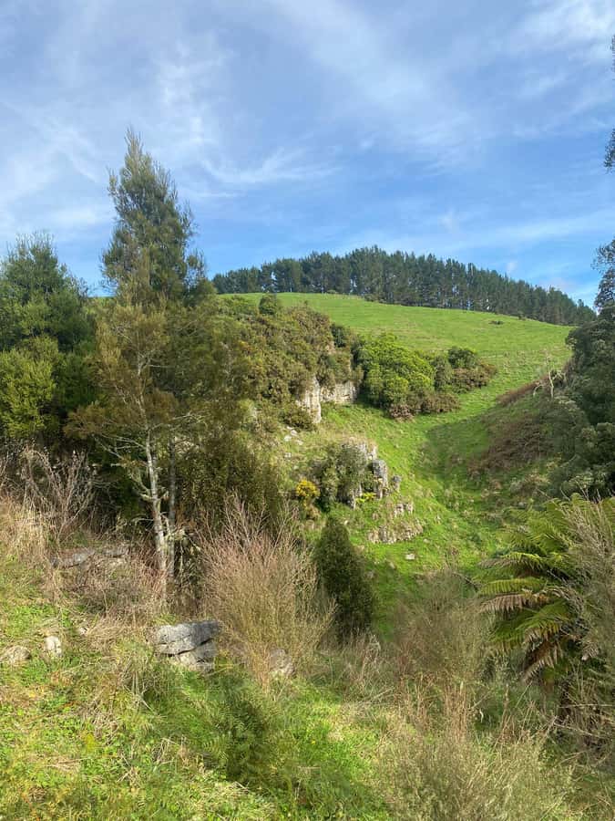 Auckland: Spellbound Glowworm Caves Explorer Tour - Is $194 per person good value for this glowworm day?