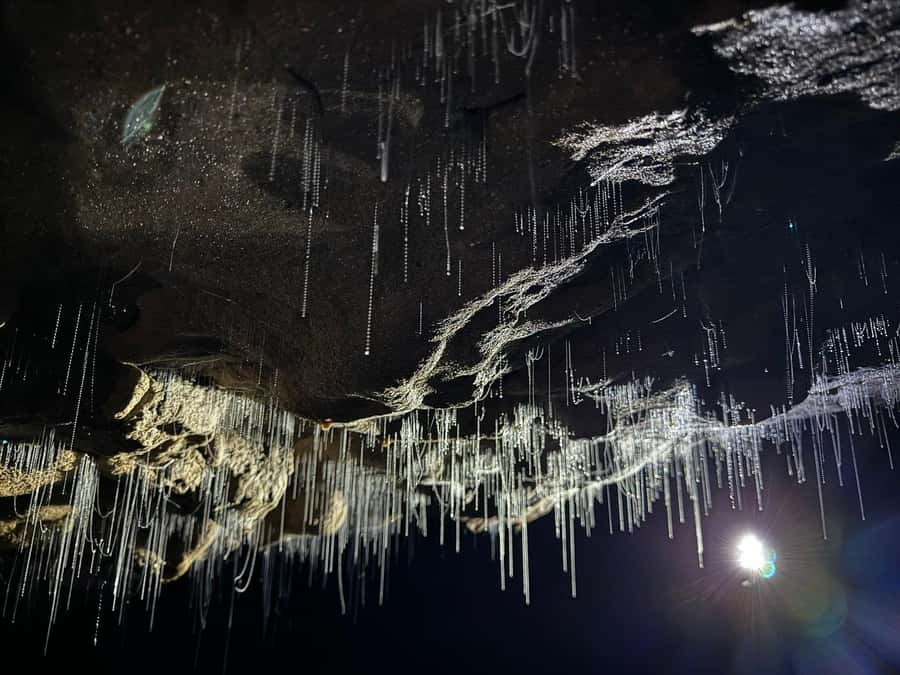 Auckland: Spellbound Glowworm Caves Explorer Tour - Spellbound Glowworm Caves: what you’re actually paying for