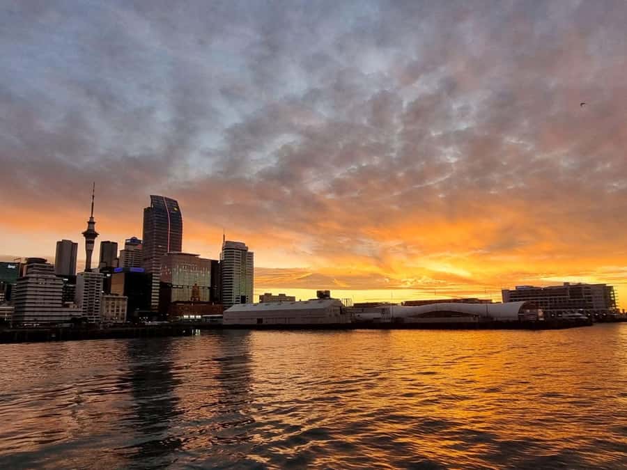 Auckland Sunset Harbour Cruise - Key highlights you’ll remember