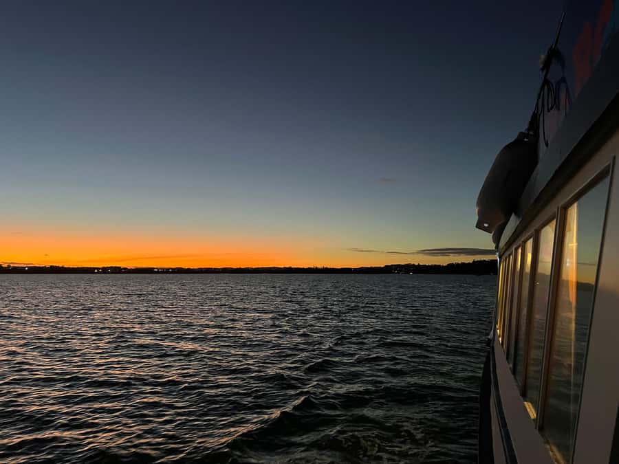 Auckland Sunset Harbour Cruise - Live English commentary: the difference between seeing and understanding