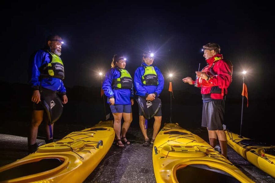 Auckland: Sunset & Night Sea Kayak Tour to Rangitoto Island - Rangitoto Summit Hike: The 2.5 km Walk That Makes the Day