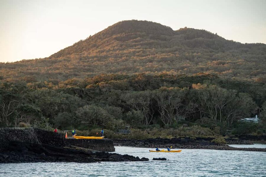 Auckland: Sunset & Night Sea Kayak Tour to Rangitoto Island - Price and Value: Is $138 Worth It?