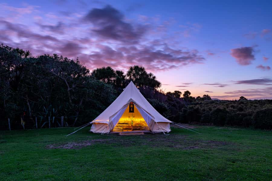 Auckland (Tawharanui): Wild Kiwi Bird Spotting Encounter - Guides and group vibe: what the best nights have in common