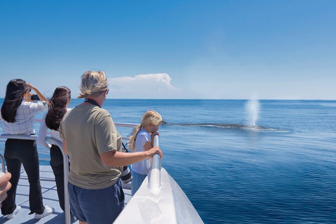 Auckland: Tikapa Moana Dolphin, Whale and Island Cruise - Auckland’s Hauraki Gulf cruise: why this ride feels different