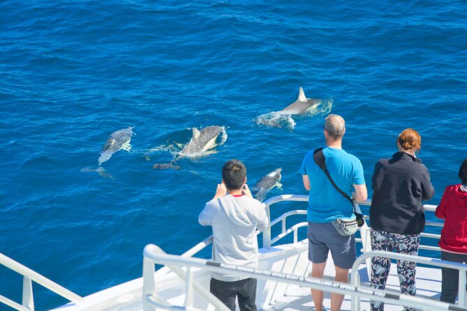Auckland: Tikapa Moana Dolphin, Whale and Island Cruise - Waiheke Island options: Rotoroa walks vs Man O’ War beach and cellar door