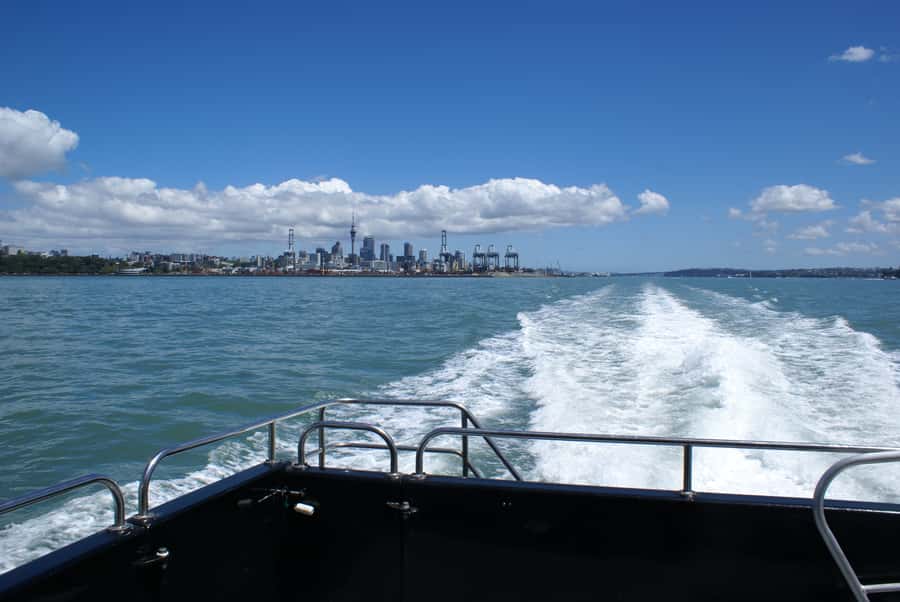 Auckland: Tikapa Moana Whales, Dolphins and Islands Cruise - Island stop 2: Man O’ War Vineyards on Waiheke Island, wine plus ocean time