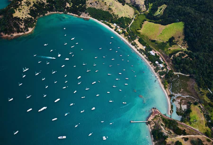 Auckland: Tikapa Moana Whales, Dolphins and Islands Cruise - Who should book this cruise (and who should reconsider)