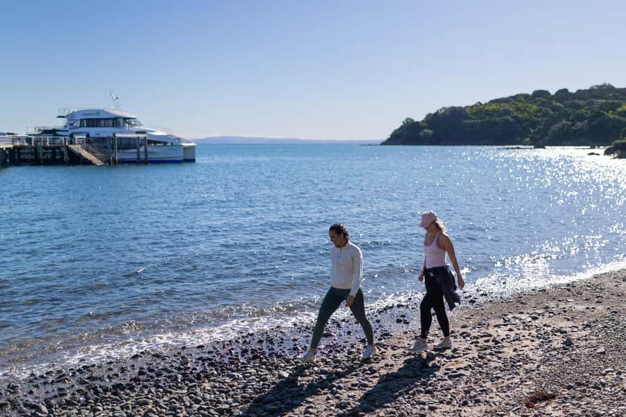 Auckland: Tiritiri Matangi Island Ferry - Quick reasons this ferry day works