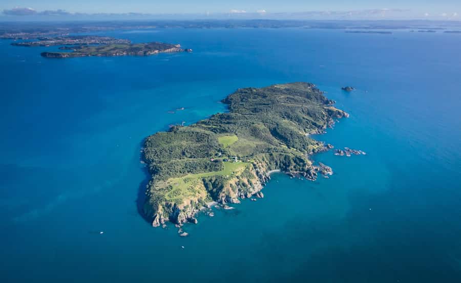 Auckland: Tiritiri Matangi Island Ferry - Picking your departure: Auckland days vs Gulf Harbour shortcuts