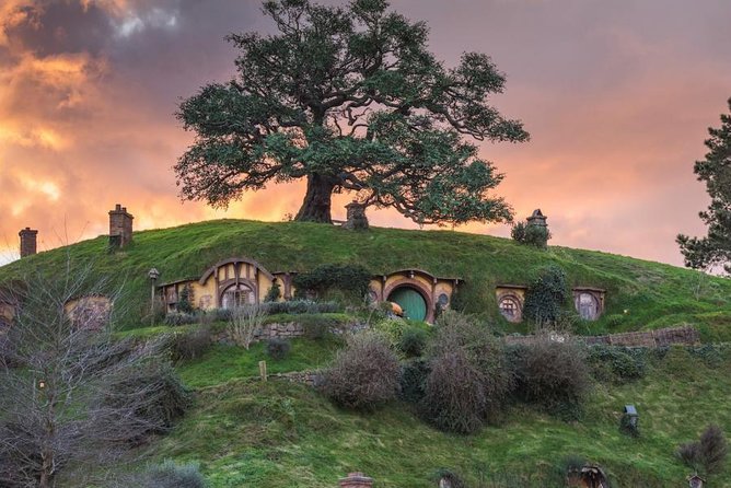 Auckland to Hobbiton Movie Set and Rotorua's Geothermal Valley - Price and what you’re really paying for ($279.26)