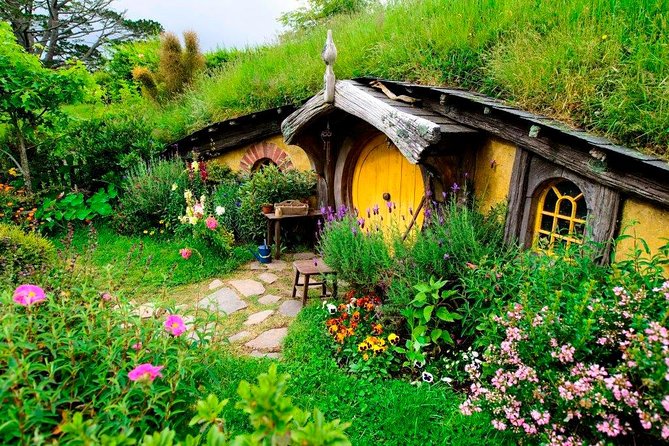 Auckland to Hobbiton Movie Set Private Tour - What to Expect On the Day (Without the Guesswork)
