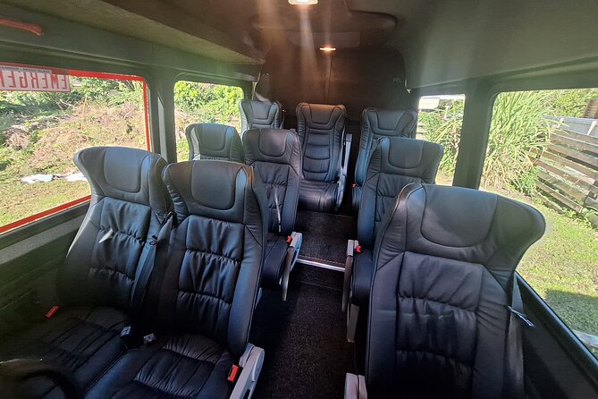 Auckland to Paihia via West Coast Small Group Tour (One Way) - Waipoua Forest and Tane Mahuta: seeing the Lord of the Forest