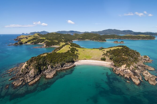 Auckland to Paihia via West Coast Small Group Tour (One Way) - What’s included (and what you’ll need to plan yourself)