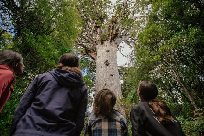 Auckland to Paihia via West Coast Small Group Tour (One Way) - Your guide and the small-group rhythm (Kim, Vicki, Ben)