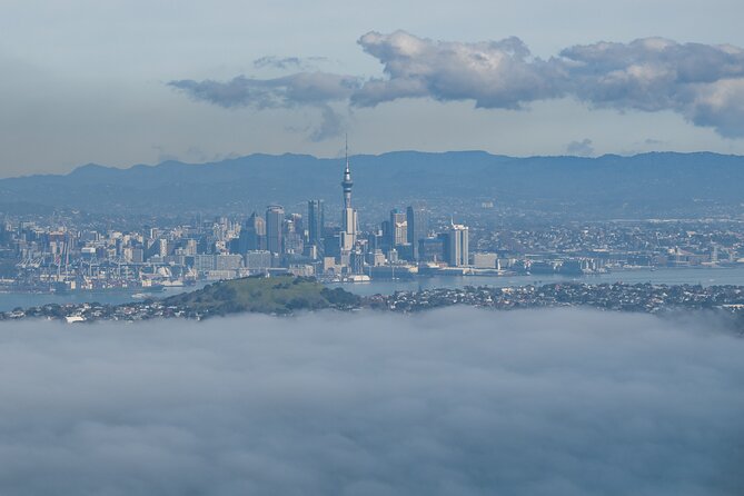 Auckland to Rangitoto Island Ferry - Island Transport and Guided Stops on Volcanic Ground