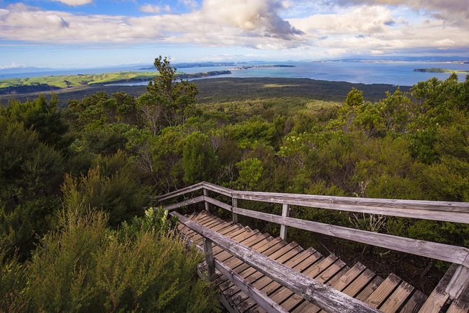 Auckland to Rangitoto Island Ferry - Getting There From Auckland CBD: Fullers360 Ferry Basics