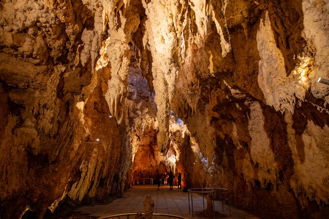 Auckland to Rotorua, Hobbiton and Waitomo 1 Way Small Group Tour - Rotorua 20-minute orientation: Lake Rotorua, museum, and gardens