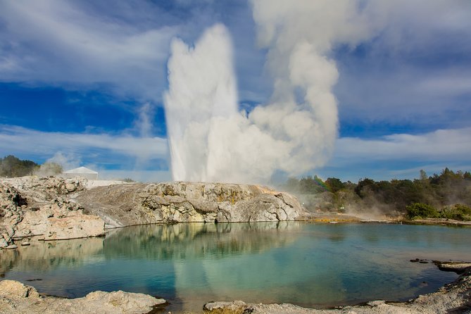 Auckland to Rotorua Private Tour - Key highlights you’ll care about