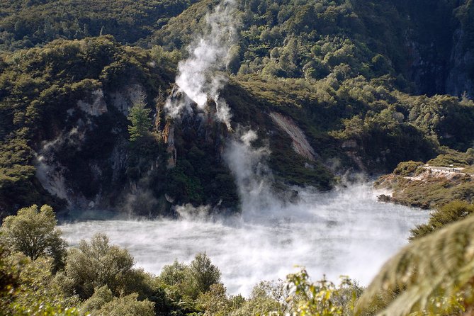 Auckland to Rotorua Private Tour - The Thermal Explorer Highway route and what to ask your guide