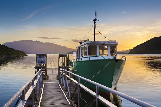 Auckland to Rotorua Private Tour - Mercedes comfort and the easy-drive plan