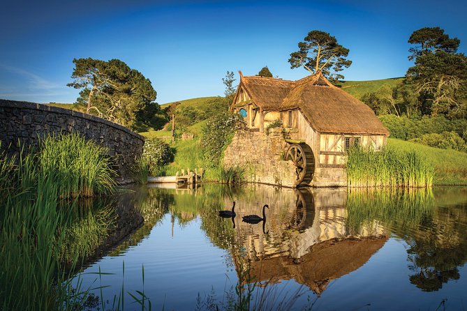 Auckland to Rotorua via Hobbiton Movie Set Tour - One Way - The ride into Rotorua: arriving by about 2:15pm